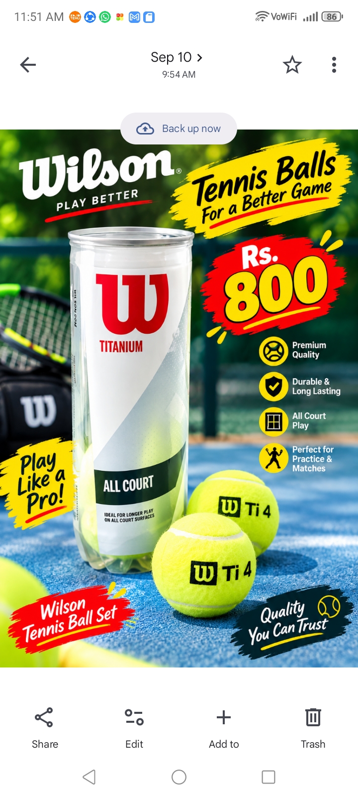 Wilson Tennis ball set