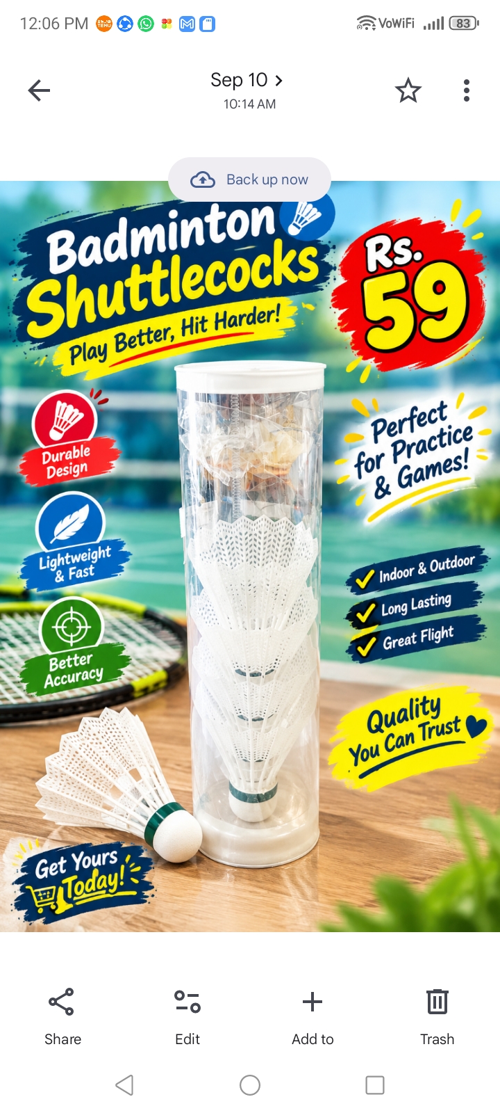 Badminton shuttlecocks